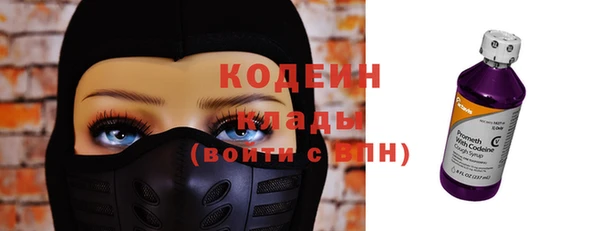 трава Гусиноозёрск
