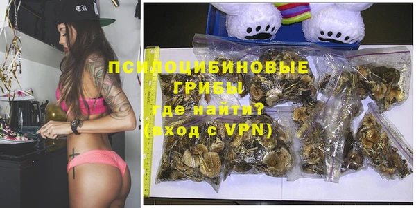 ПСИЛОЦИБИНОВЫЕ ГРИБЫ Горнозаводск