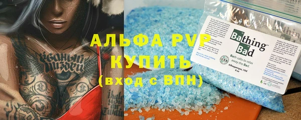 трава Гусиноозёрск