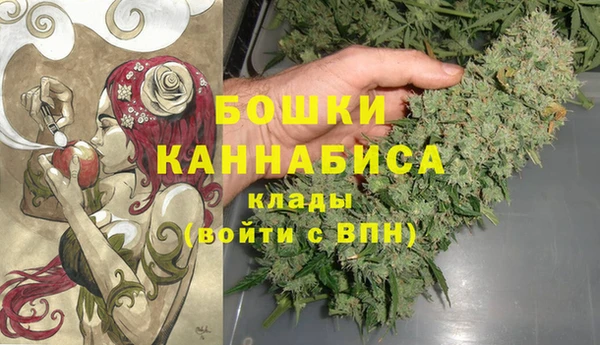 молекула духа Гусев