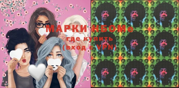 трава Гусиноозёрск