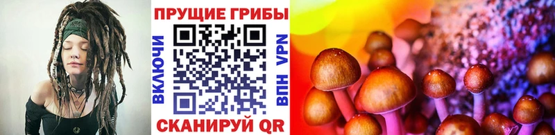 Галлюциногенные грибы мухоморы  Добрянка 