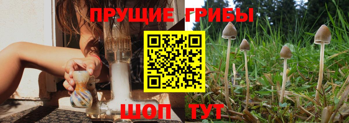 Псилоцибиновые грибы GOLDEN TEACHER  Вход с VPN  продажа наркотиков  Добрянка 