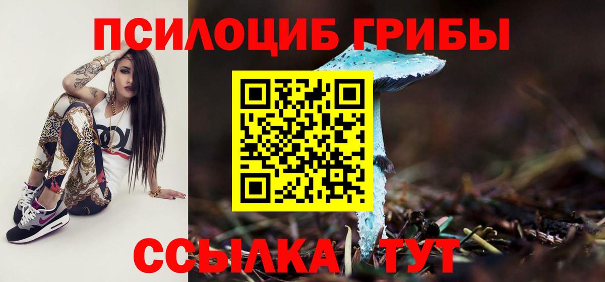 Псилоцибиновые грибы прущие грибы  Добрянка 